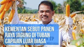 Kementan Sebut Panen Raya Jagung di Tuban Capaian Luar Biasa!!!