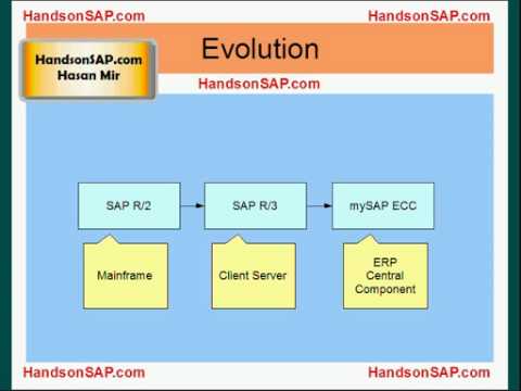 handsonsap.com Introduction to SAP R and mySAP ECC ERP