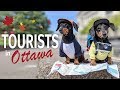 Ep #2: Crusoe & Oakley are TOURISTS in Ottawa! - (Cute & Funny Dog Travel Video)