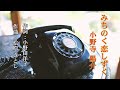 みちのく恋しずく~小野寺陽介