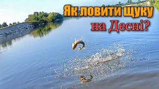 ЯК ЛОВИТИ і ДЕ ШУКАТИ ЩУКУ на ДЕСНІ?