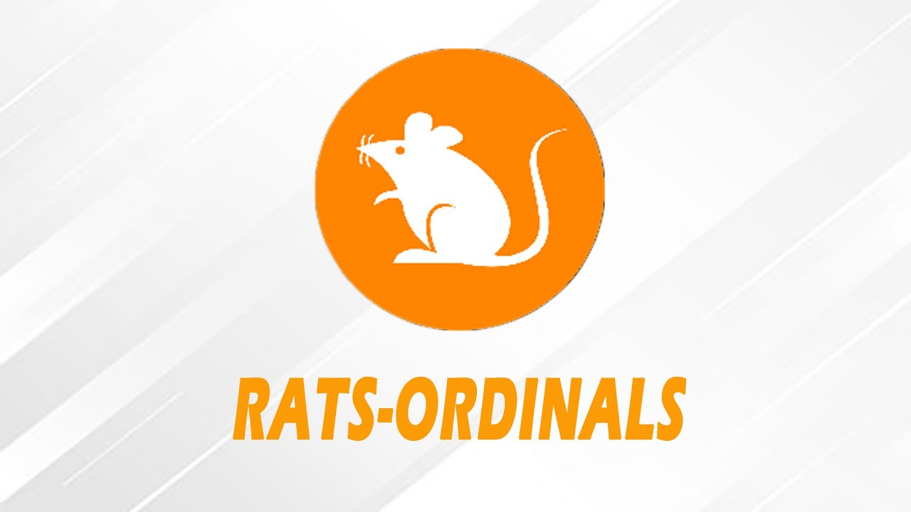 RATS (Ordinals) IS HERE TO STAY! (Price movement, predictions, updates &  more!)