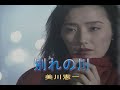 (カラオケ) 別れの川 / 美川憲一