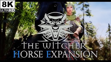SKYRIM MOD I Witcher Horse Expansion