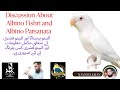 what Is The Difference between Albino Parsanata and Albino Fishery.#lovebirds #albino #birdsempire