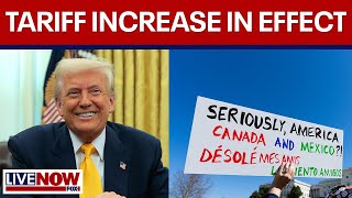 Trump's 25% tariff increase on all steel, aluminum imports takes effect | LiveNOW from FOX