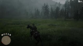 Red Dead Redemption 2 Desafio Atirador Atirador de Elite 9 screenshot 3