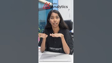 Why Small Businesses Need ZOHO Analytics