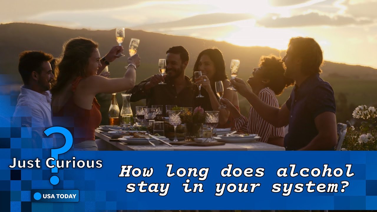 How long does alcohol stay in your system? It depends on these factors | JUST CURIOUS