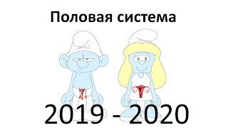 21. Половая (8 класс) - биология, подготовка к ЕГЭ и ОГЭ 2020