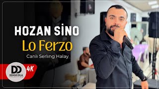 Hozan Sino - Lo Ferzo (Canlı Serlıng Halay 2026)