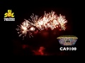 CA9100