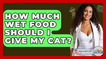How Much Wet Food Should I Give My Cat? - Ask A Pet Vet