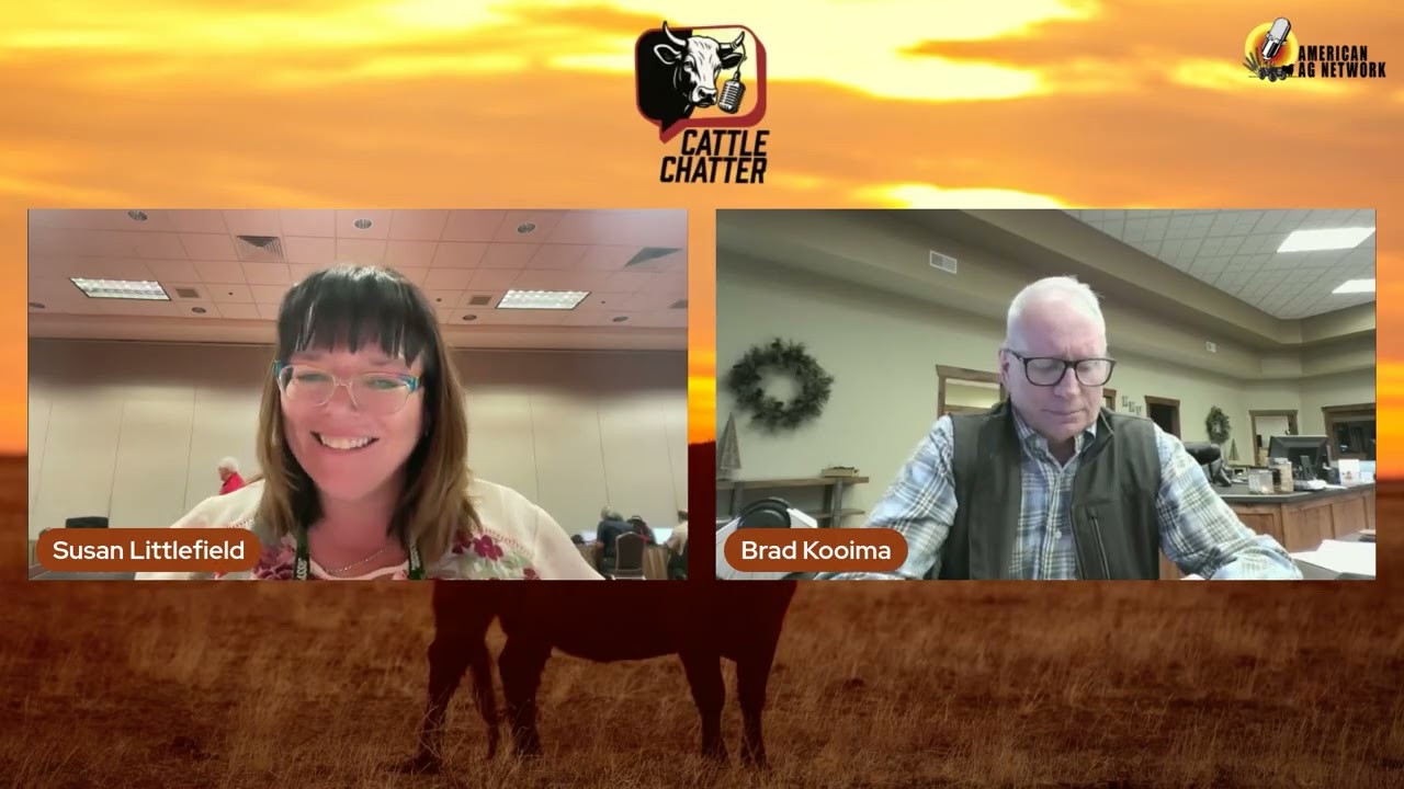 Рынок ведет себя как рынок | 26.02.2026 Разговоры о скоте