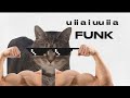 u ii a uu ii a funk (official music video)