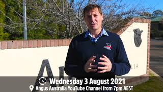 Save the Date: Angus CONNECT Introducing the New Angus Research Selection Indexes