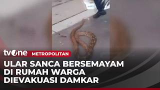 Download lagu Firefighters Capture 3-Meter Python in Resident's Home | Metropolitan