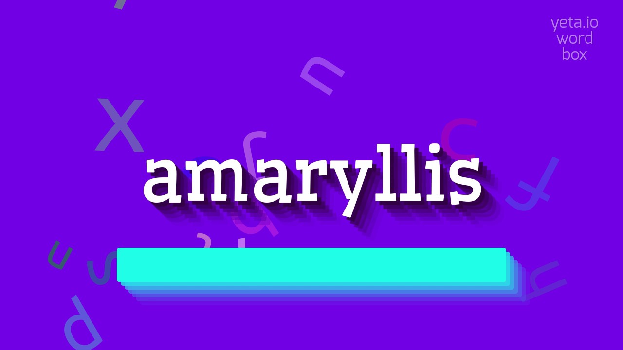 AMARYLLIS - HOW TO SAY AMARYLLIS? #amaryllis - YouTube