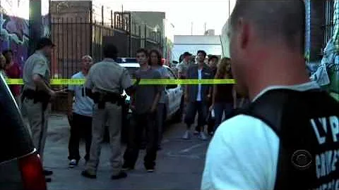 Nick Stokes fight
