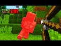 The worst tour in minecraft history