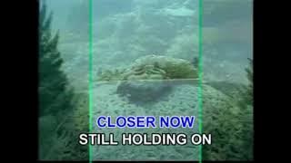 AVSEQ10 Please Forgive Me - Bryan Adams | Megamedia