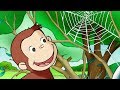 George O Curioso 🐵Especialista Enteiras 🐵Jorge O Macaco Curioso 🐵Desenhos Animados