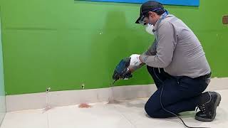 Protect Your Property With Rentokil PCI's TermiSeal Service┃Avail 5% OFF On Termite Control* screenshot 3