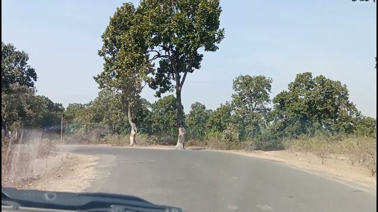 kam ka 14va din 10/01/2026