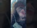 #fyppppppp