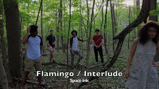 Space Ink - Flamingo / Interlude (remastered)