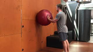 Stability Ball Wall Push-Up