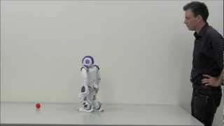 TDM behavior specification tool: compilation of behaviors executed by Nao