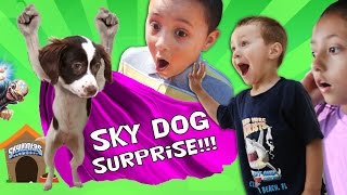 THE SKYLANDER DOG SURPRISE!! (Sky Kids Get a Puppy from Kaos?)