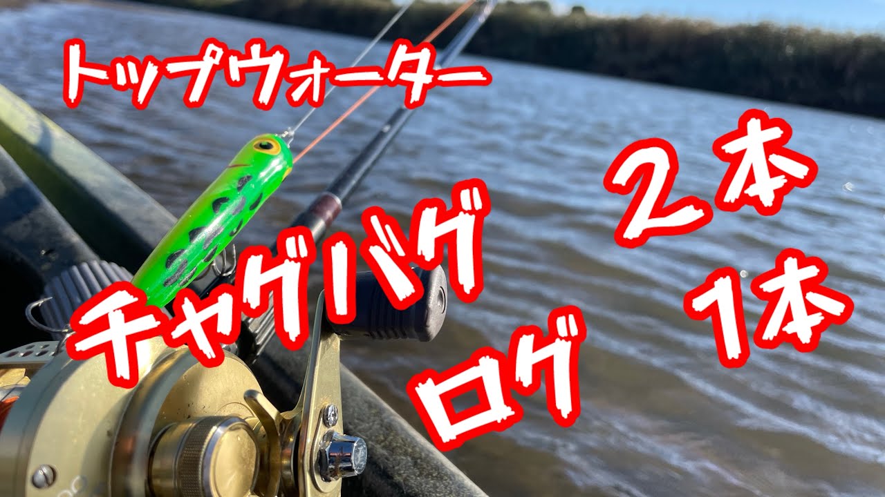 #トップウォーター #カヤックフィッシング#bassfishing #小貝川バス釣り#fishing #チャグバグ#スピンテールログ