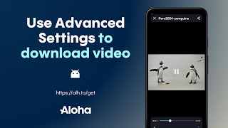 Master Video Downloads: Advanced Settings Guide | Aloha Browser