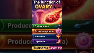 Function of the Ovary Is ??(Reply in Comments 💫 #biology #with #studywithmeandmycat