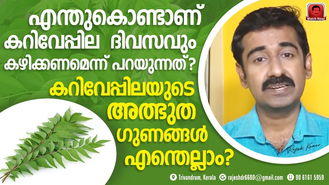 കറിവേപ്പിലയുടെ അത്ഭുതഗുണങ്ങൾഎന്തെല്ലാം ? ഈ ഗുണങ്ങൾ ലഭിക്കാൻ കറിവേപ്പില നാം എങ്ങനെ ഉപയോഗിക്കണം ?