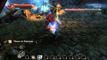 Kingdoms of Amalur: Reckoning - Gnarsh