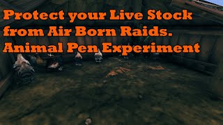 Valheim - breading experiment Protect your Chickens and Boars.