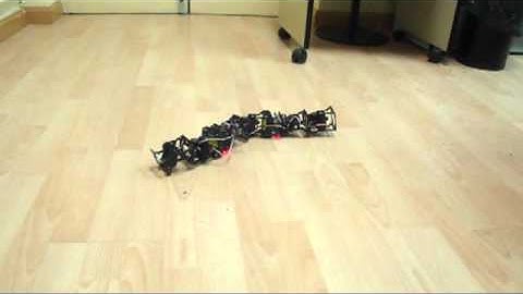Locomotion of a modular snake robot using bio-inspired controllers