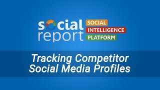 Tracking Competitor Social Media Profiles - Social Report Tutorial screenshot 5