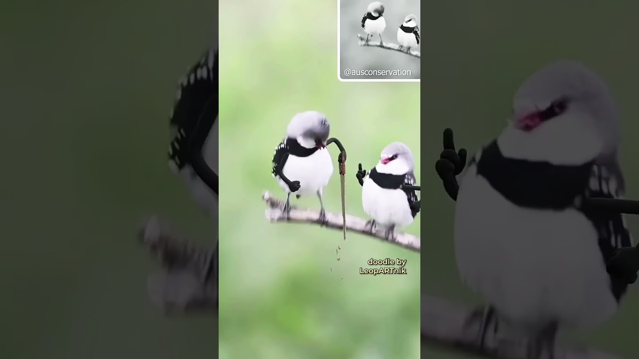 New Bird 🕊️ [new generation)/ disney bird