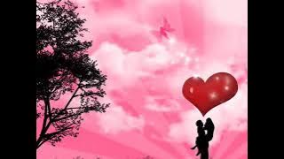 Noptile imi sunt amare💖cea mai frumoasa melodie