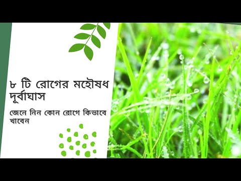 ভিডিও: আদা আল কি পপ হিসাবে বিবেচিত হয়?