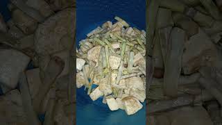 Kacang Melati Dan Tahu