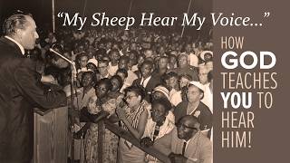 "My Sheep Hear My Voice" — How God Teaches You to Hear Him!