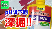 最強 テトラバイタルという調整剤を知って欲しい ふぶきテトラ Youtube