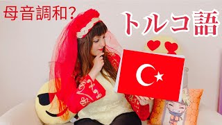 Japonlar için Türkçe dersi【Part2】