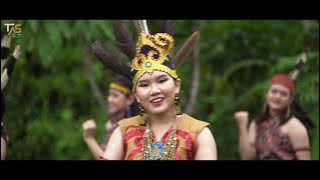 Bejuget Ari Gawai - Putri Callista || LAGU DAYAK MUALANG