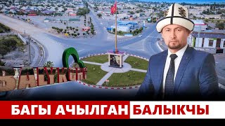 Багы ачылган Балыкчы